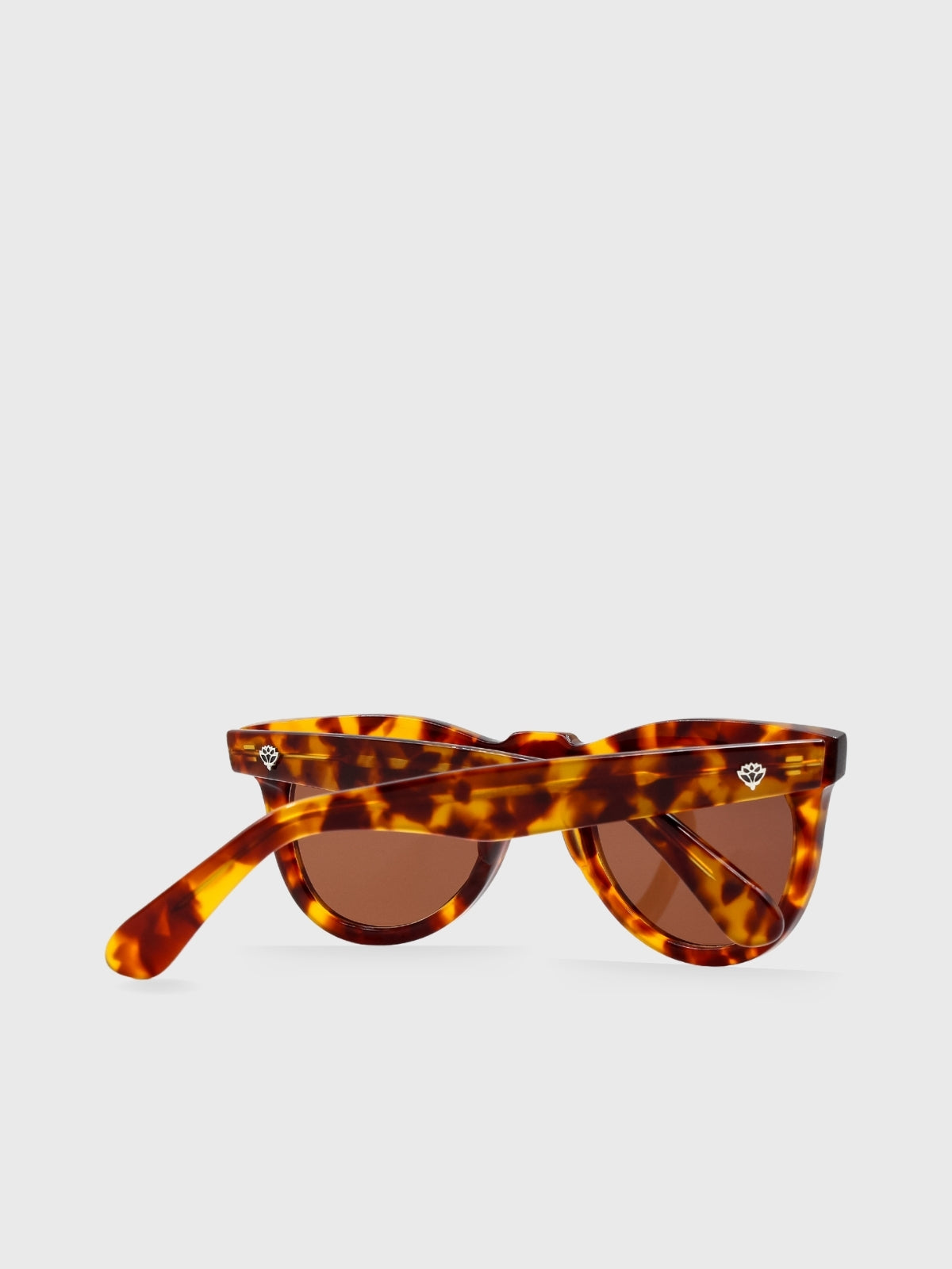 Óculos de Sol Giove Tartaruga