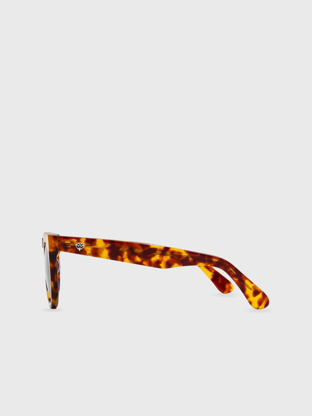 Óculos de Sol Giove Tartaruga